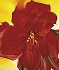 Red Amaryllis 1937